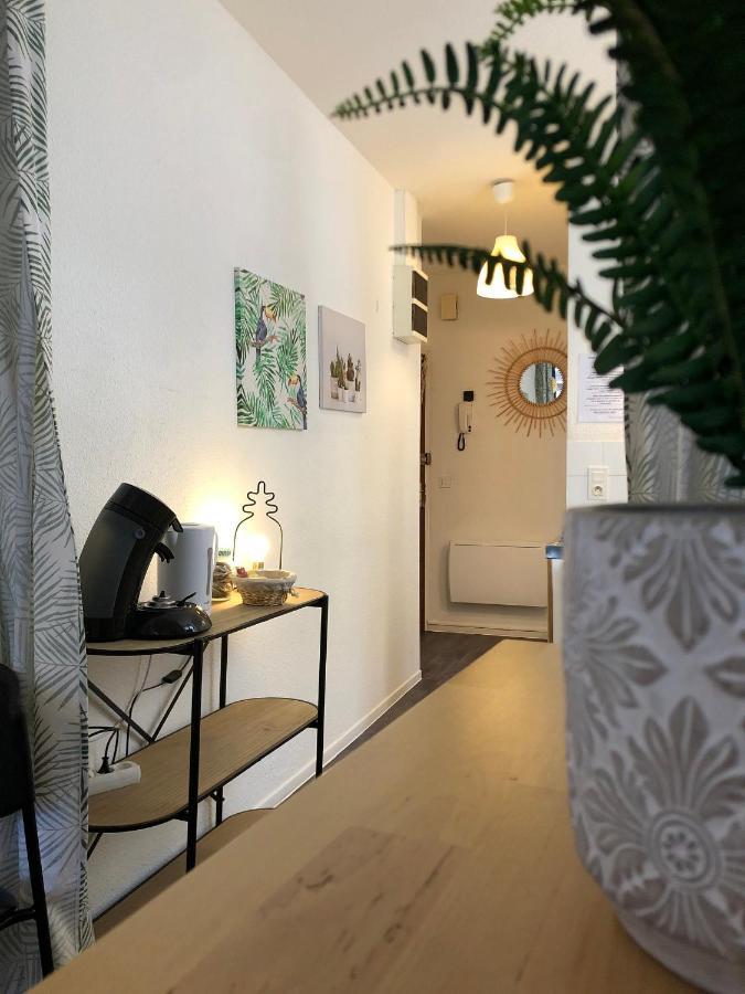 Equateur-Centre Jaude Apartamento Clermont-Ferrand Exterior foto
